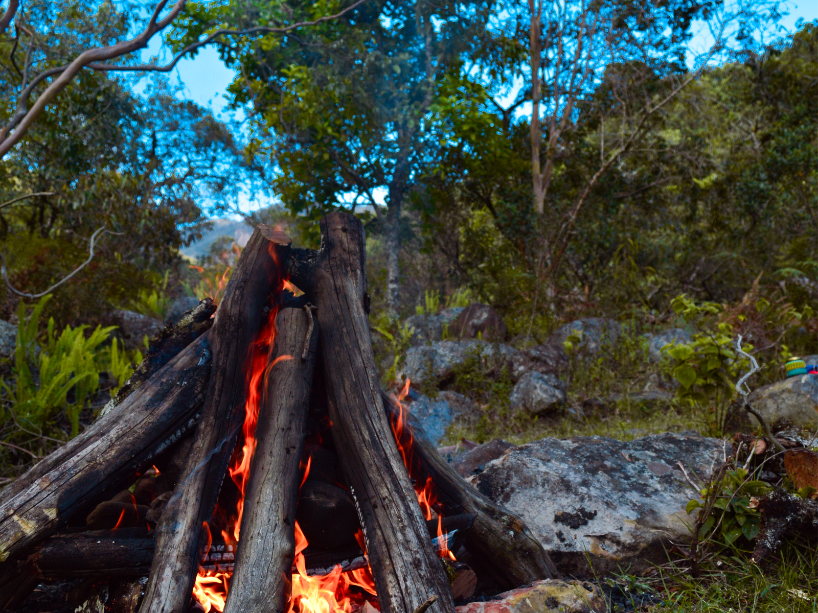 Retiro Bienestar - La Isla (2D 1N )