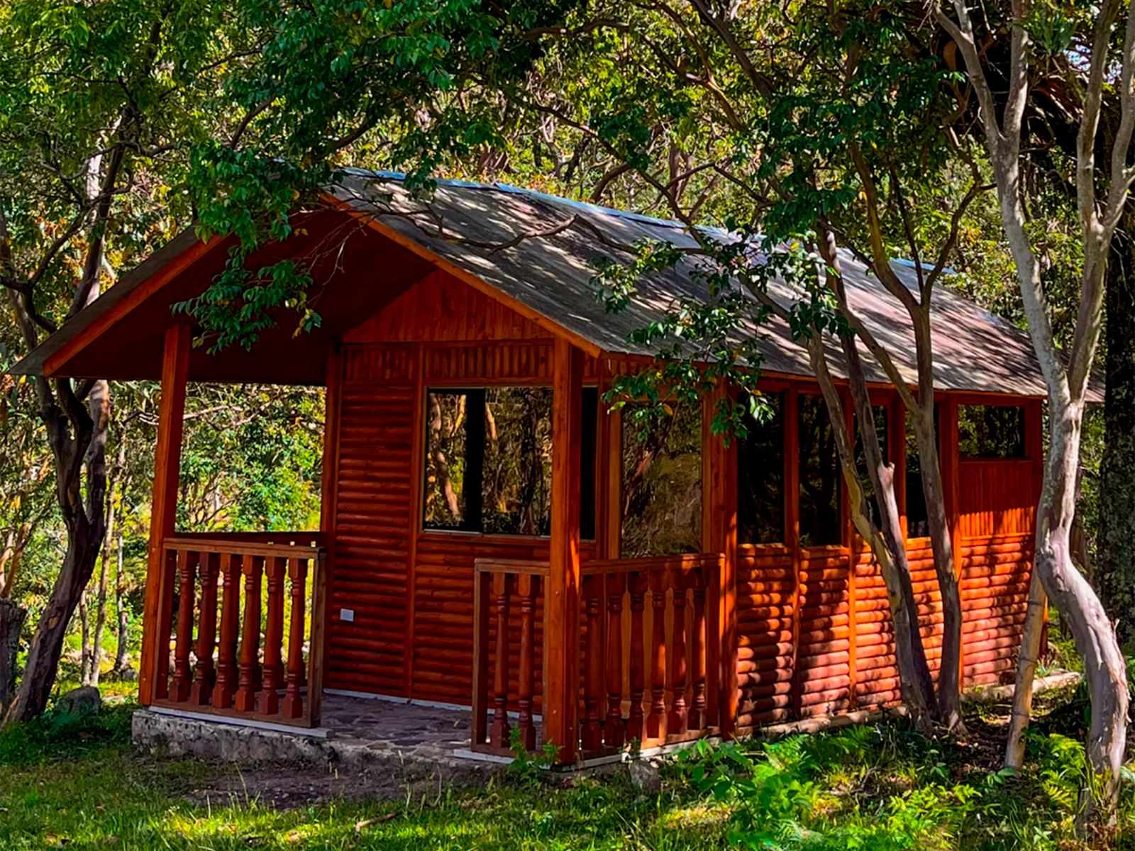 EcoLodge Cabaña / Premium
