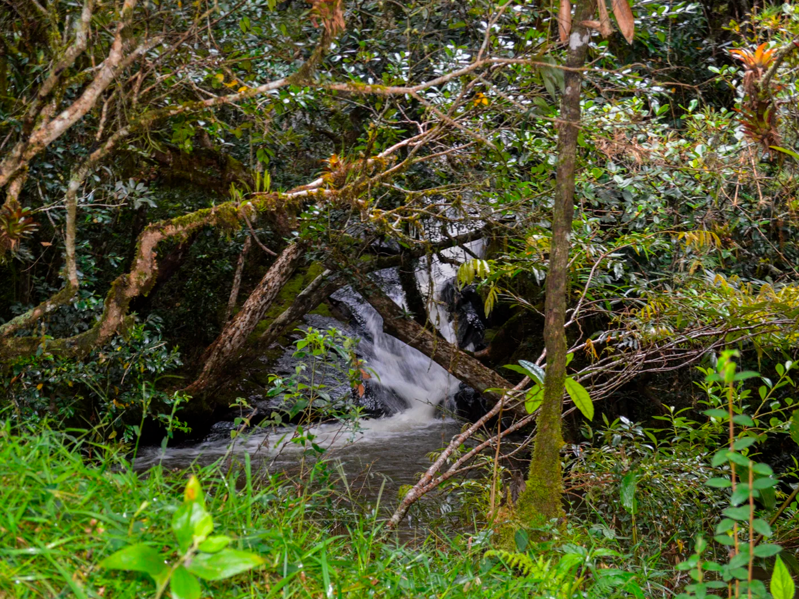 Pasadía Pozolindo & Puente Piedra
